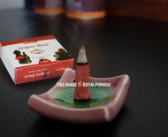 Dragon Blood Backflow Incense Fragrance Scents Cone